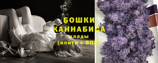 гидра Данков