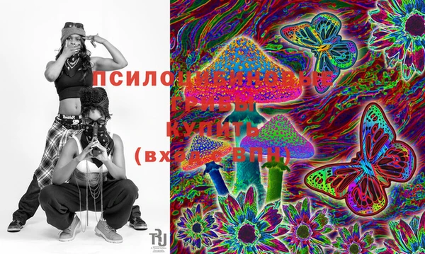 прущая мука Переславль-Залесский